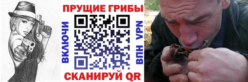 Псилоцибиновые грибы Magic Shrooms  Сенгилей 